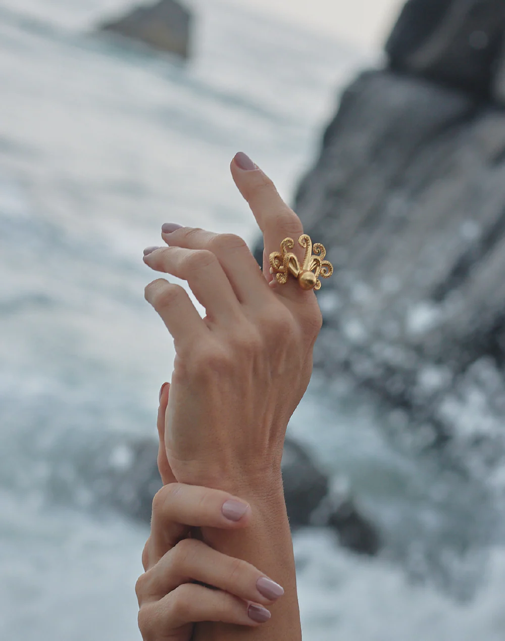 Anillo Pulpo - Image 4