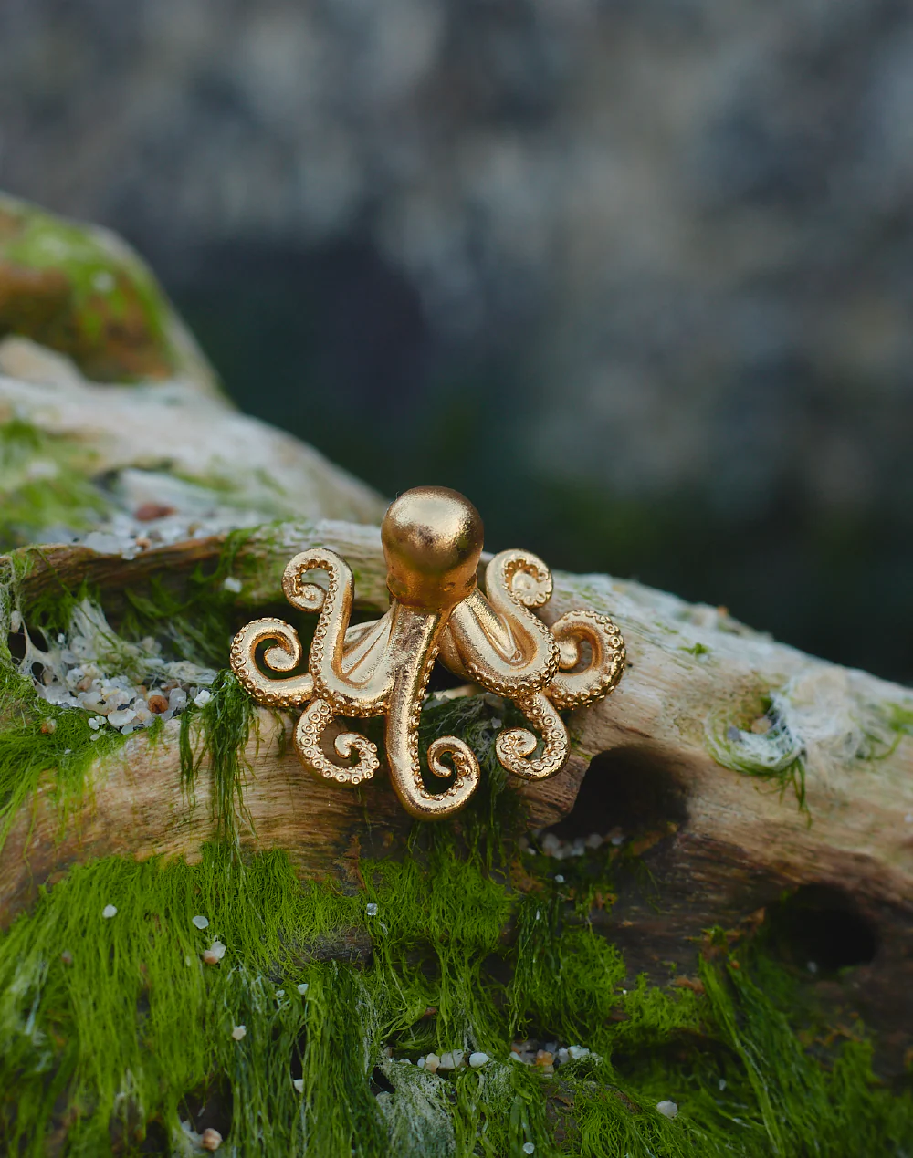 Anillo Pulpo - Image 5