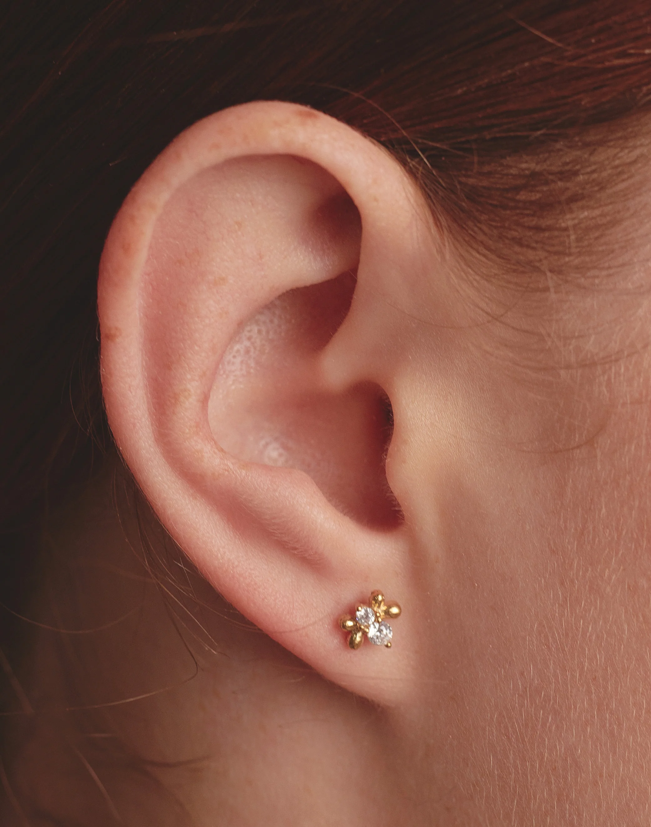Aretes en Plata 925 Zircones Clear