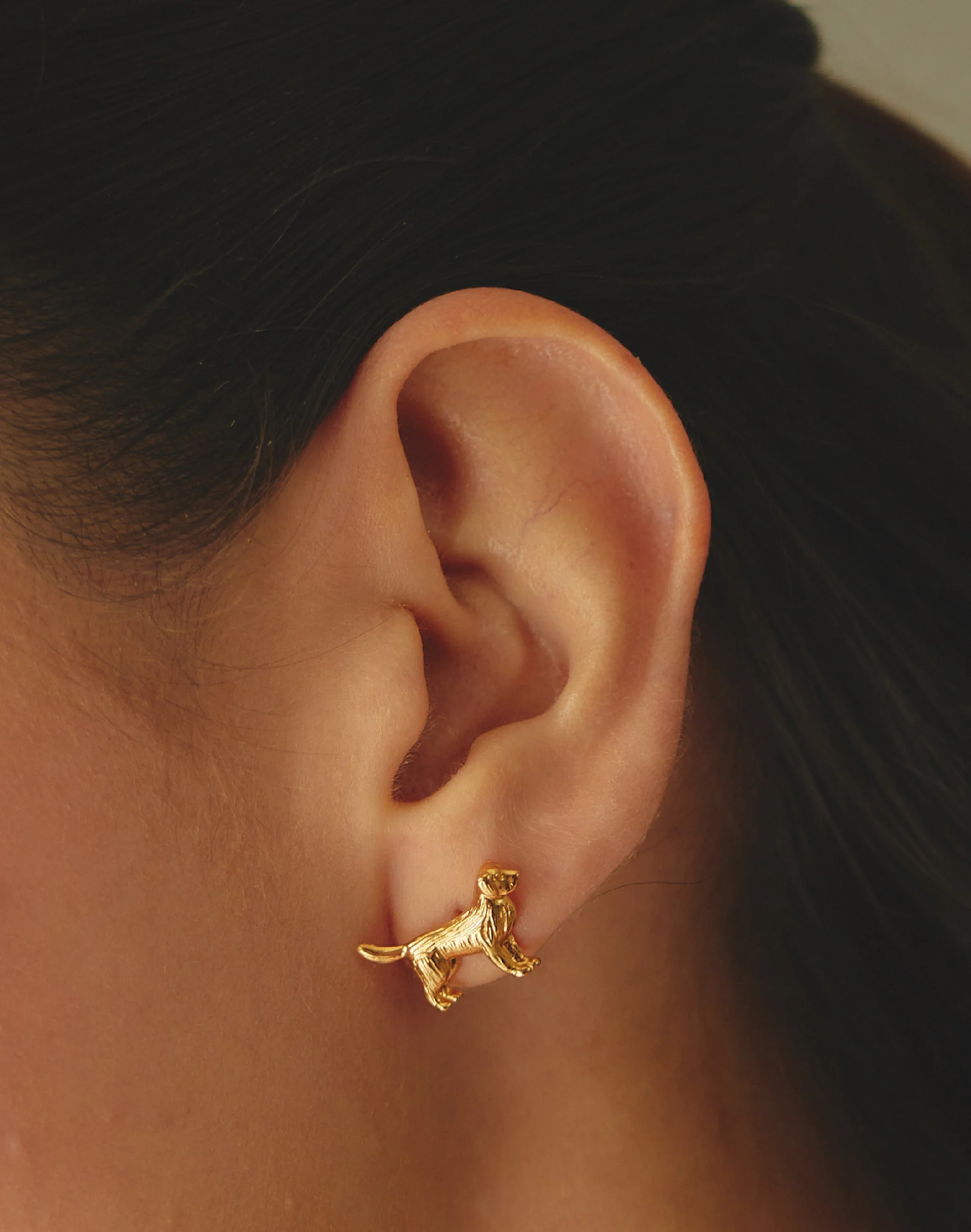 Aretes Golden Retriever