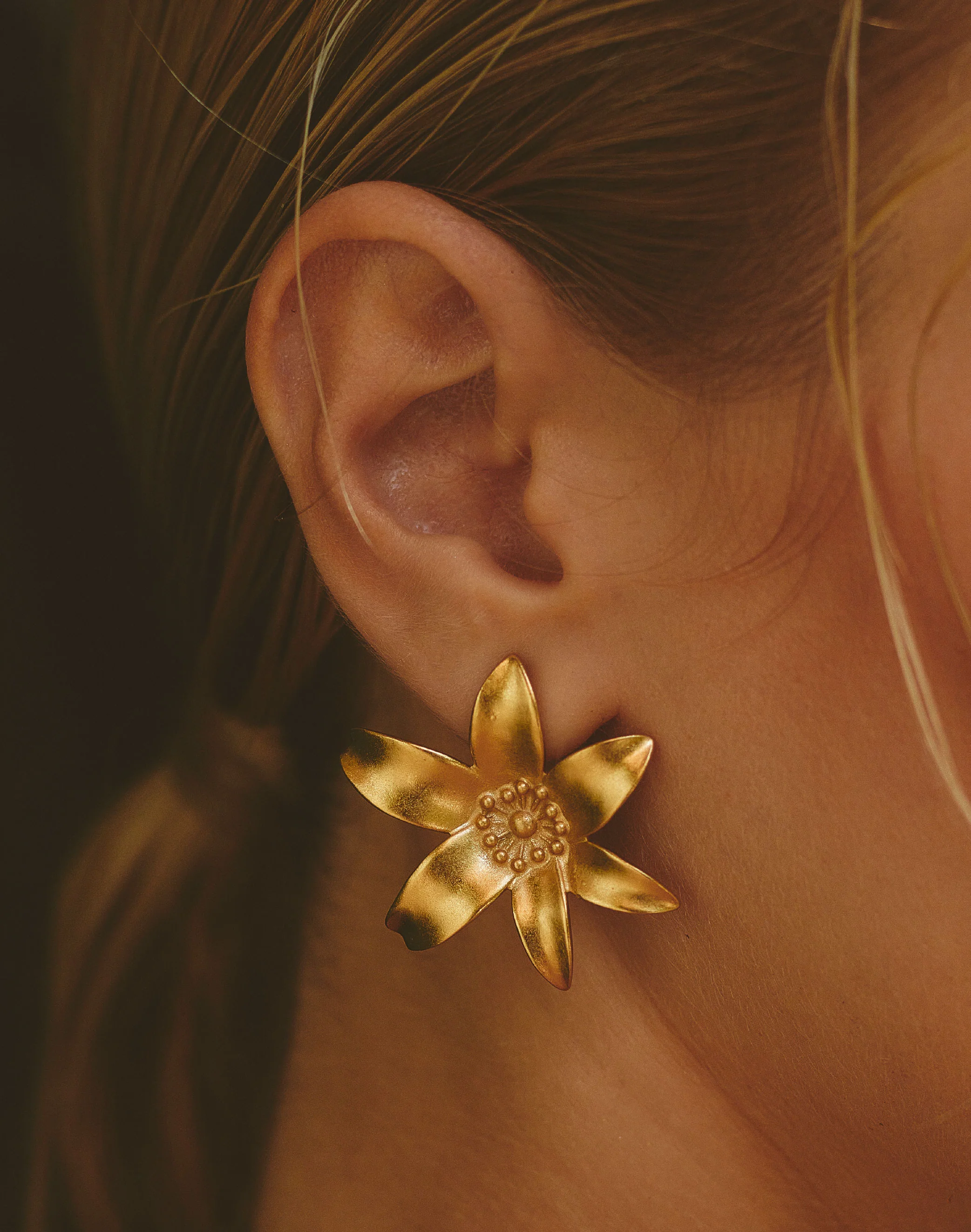 Aretes Passiflora