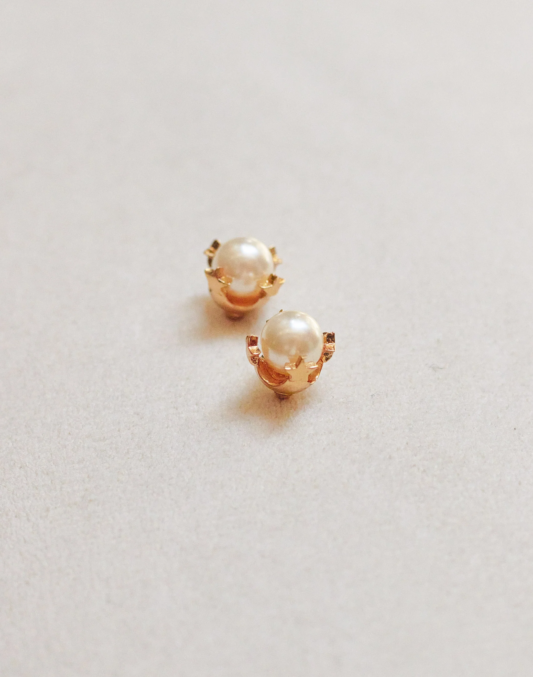 Aretes Rome - Image 3