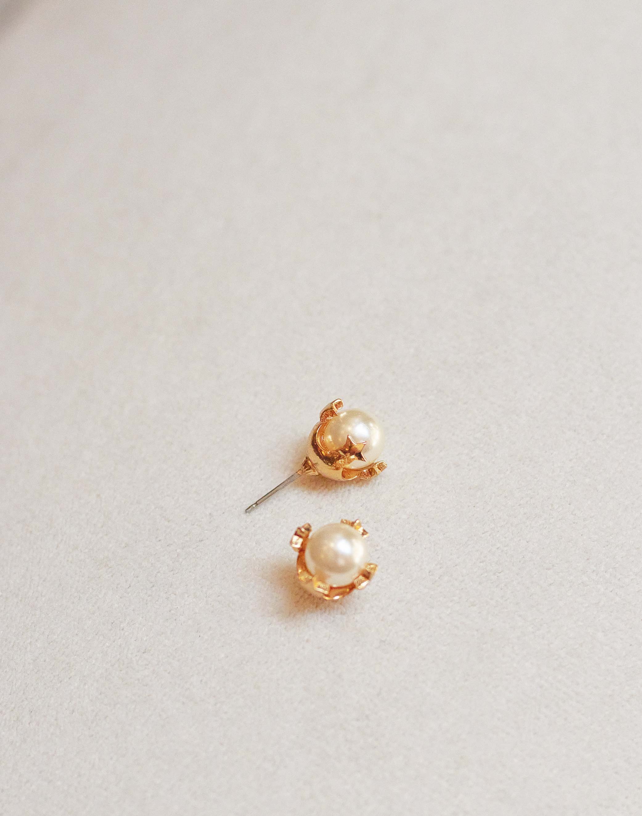 Aretes Rome - Image 4