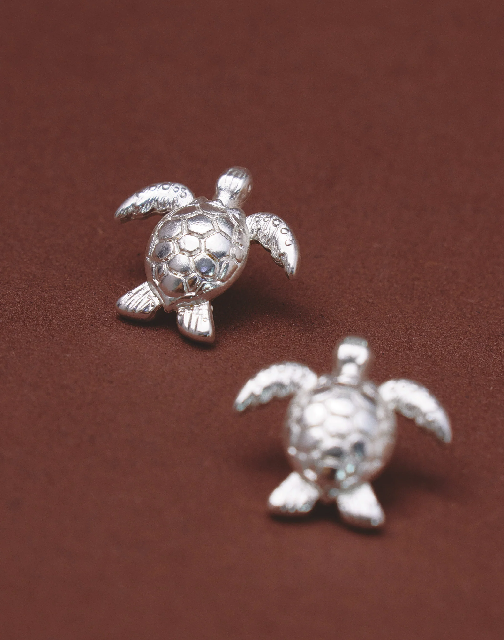 Aretes Tortuga Carey - Image 4