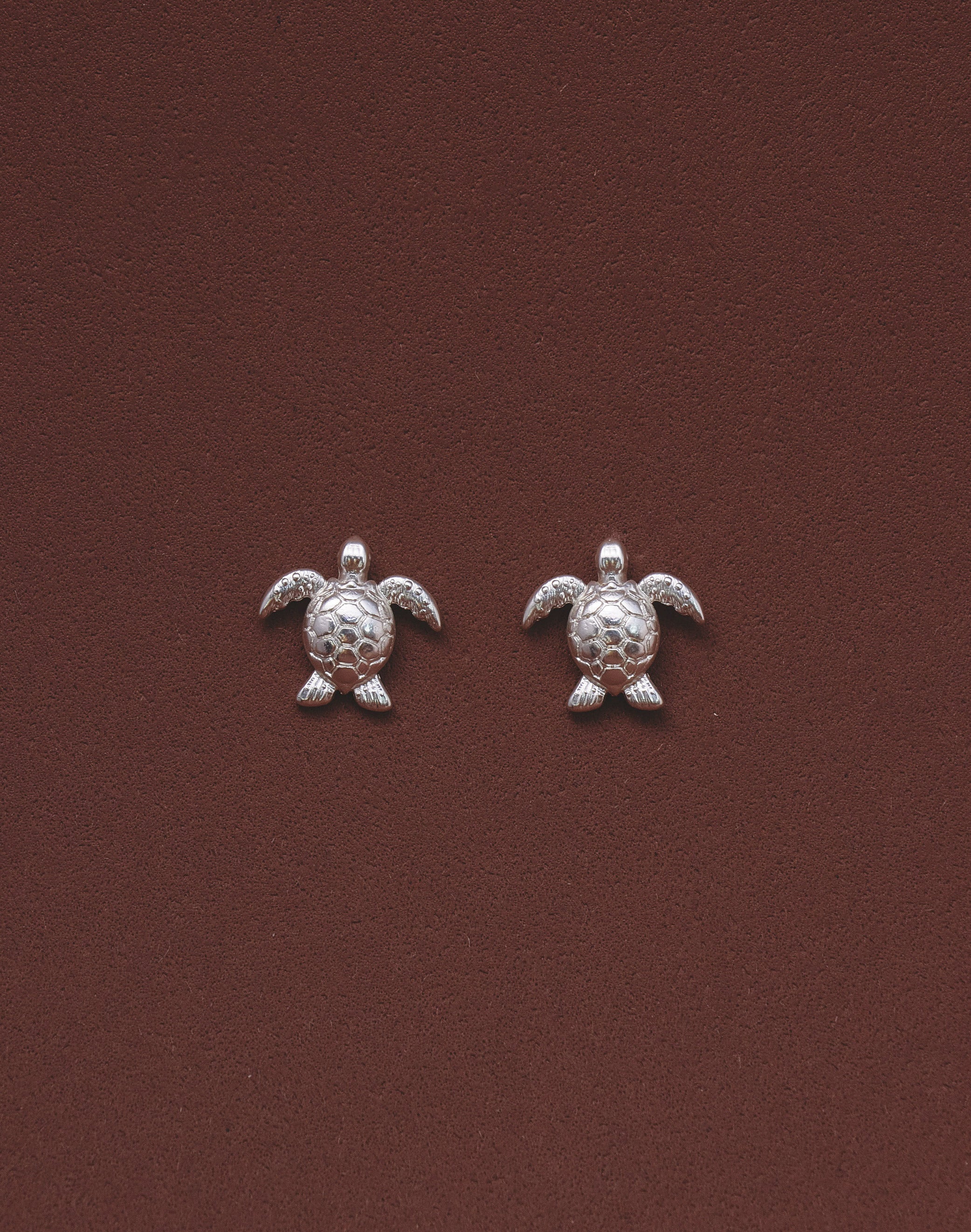 Aretes Tortuga Carey - Image 7