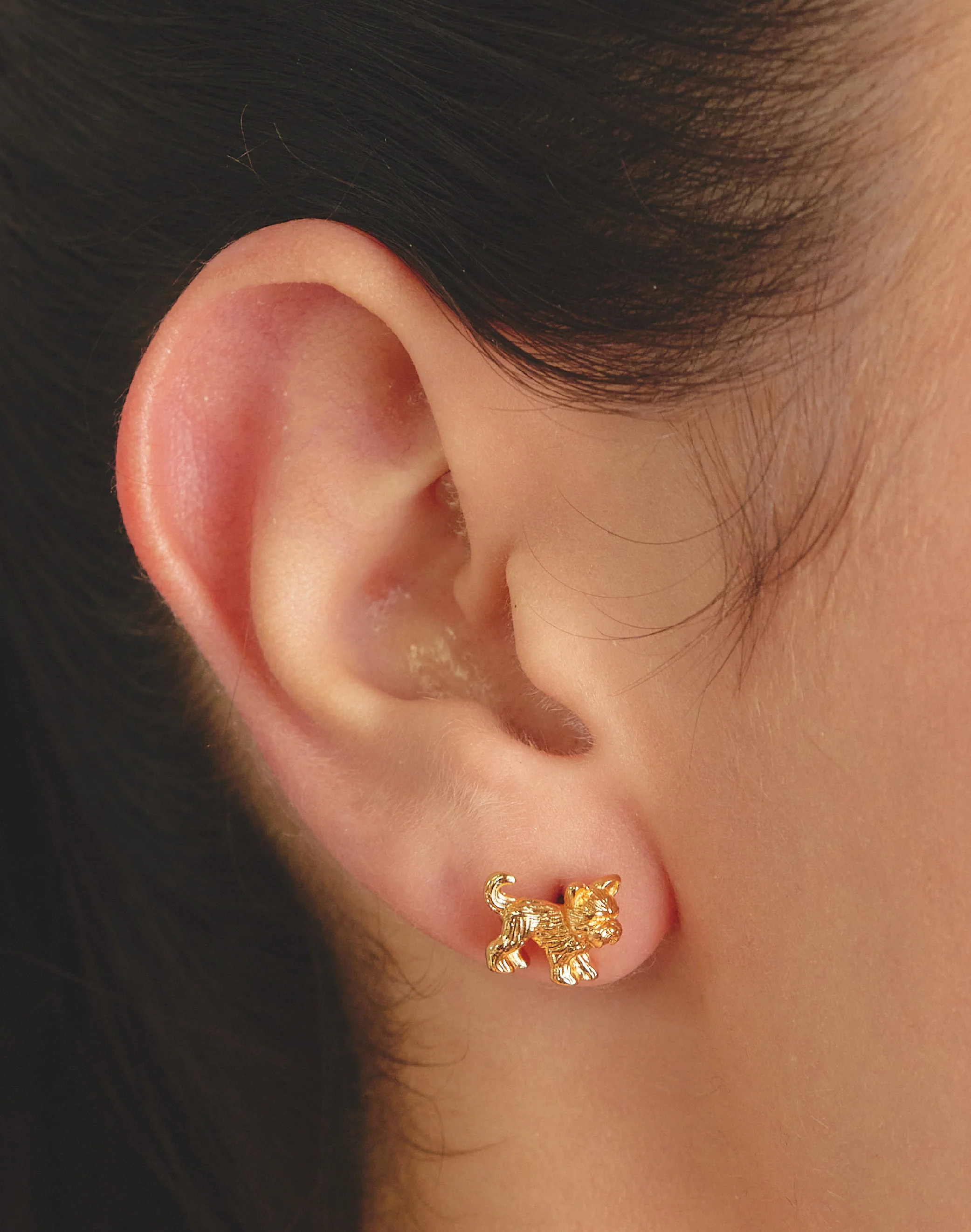 Aretes Yorkie