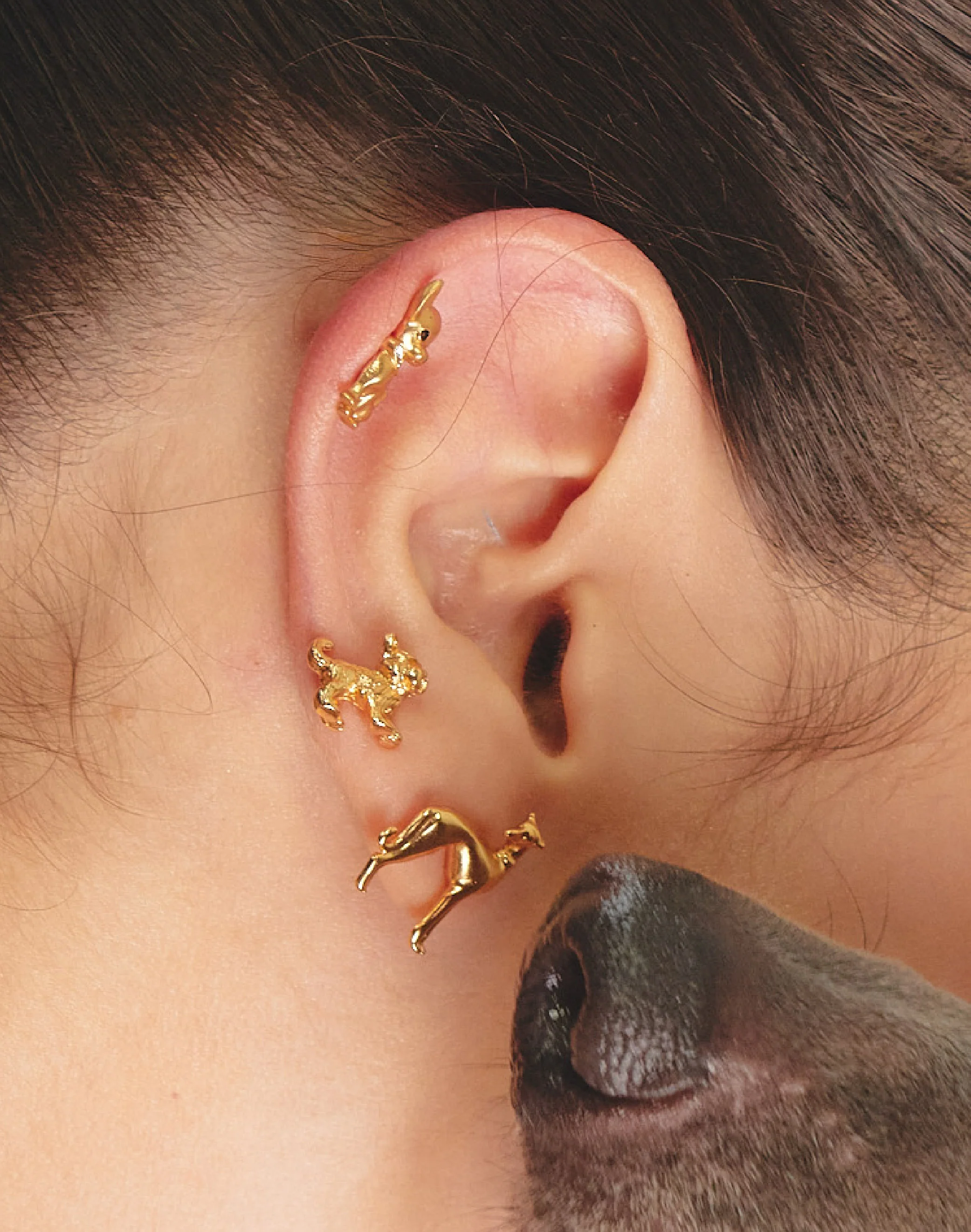 Aretes Yorkie - Image 4