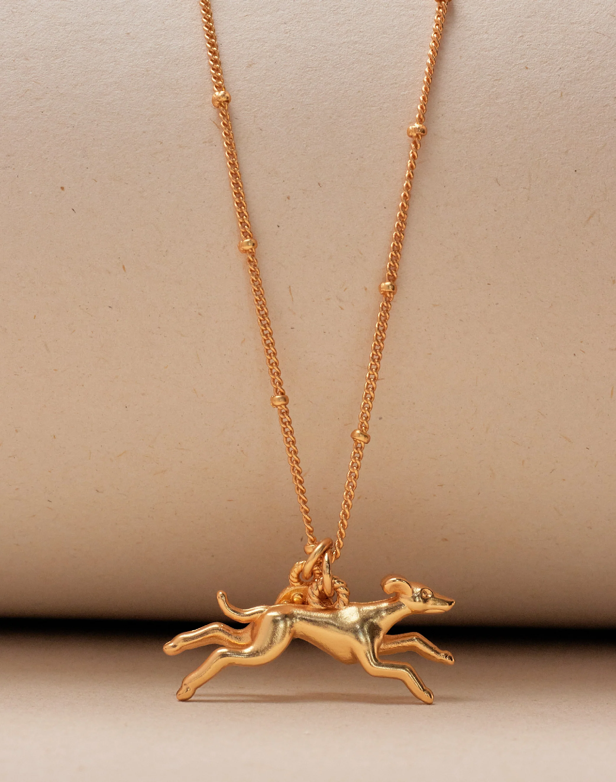 Collar Galgo - Image 3