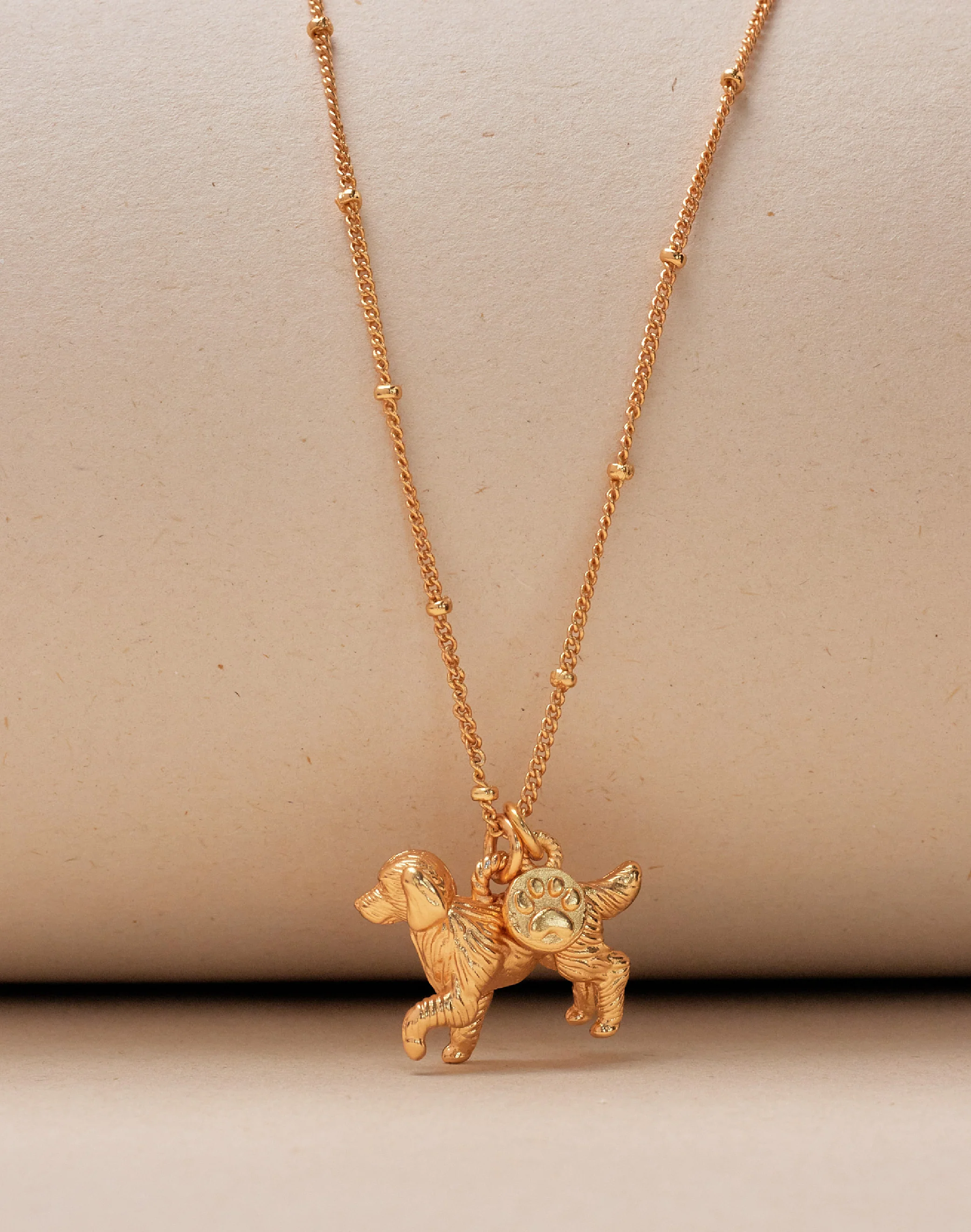 Collar Golden Retriever - Image 3