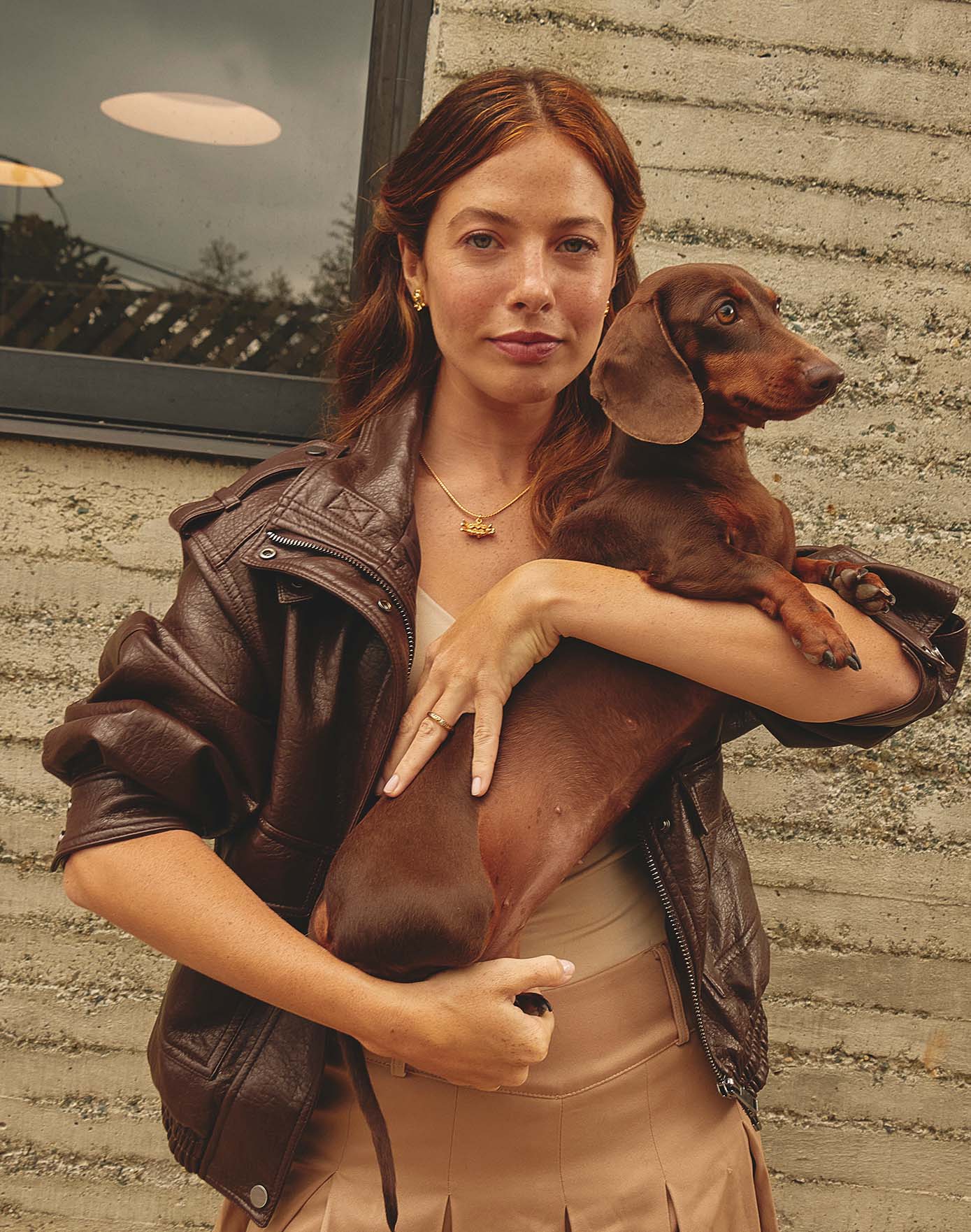 Collar Hot Dog - Image 7