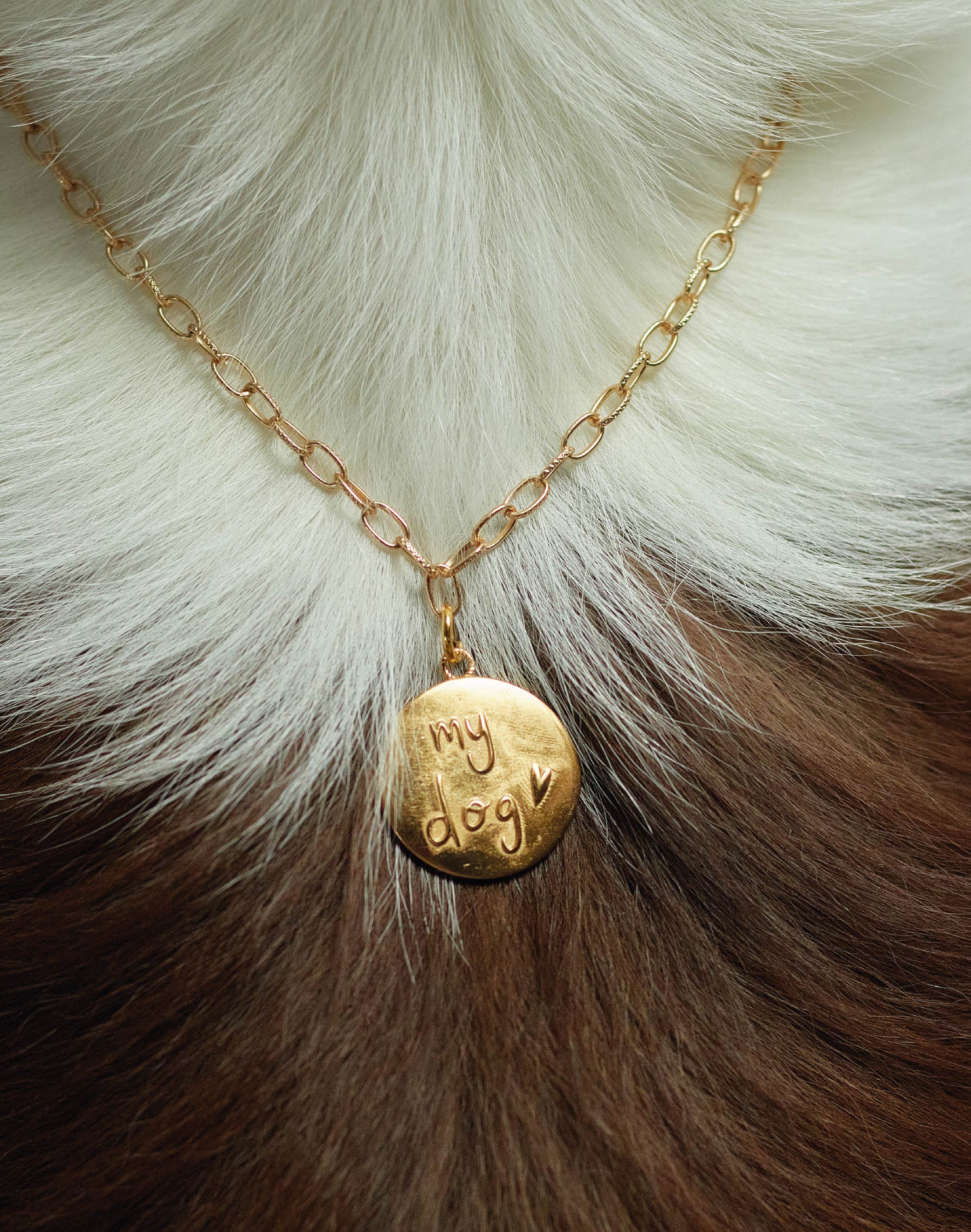 Collar My Dog - Image 4