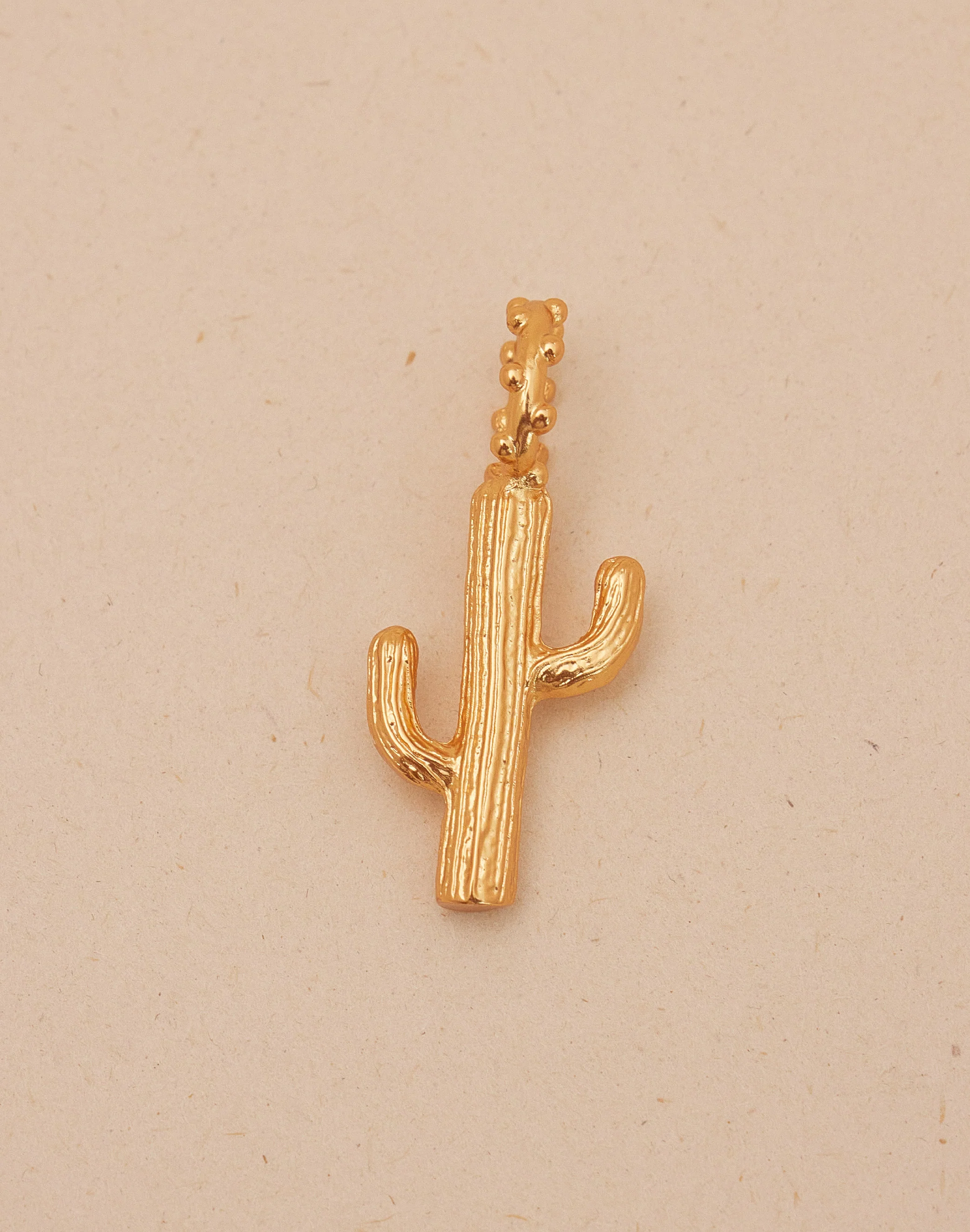 Maxi Charm Cactus - Image 3