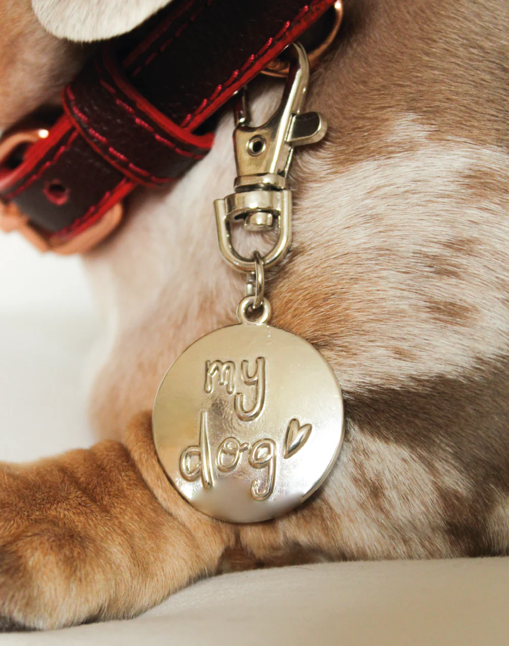 Medalla Oh My Dog - Image 2