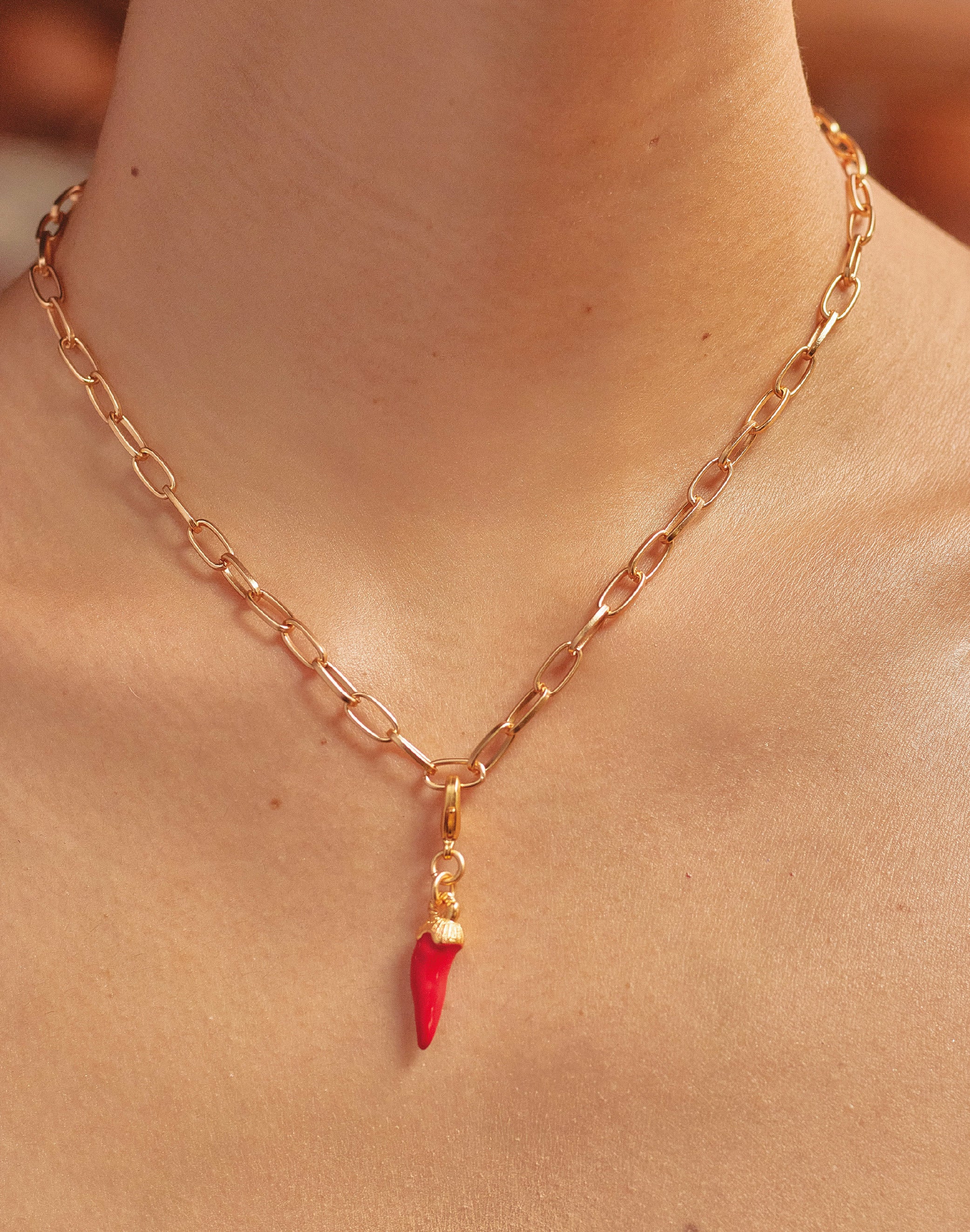 Mini Charm Ají - Image 2