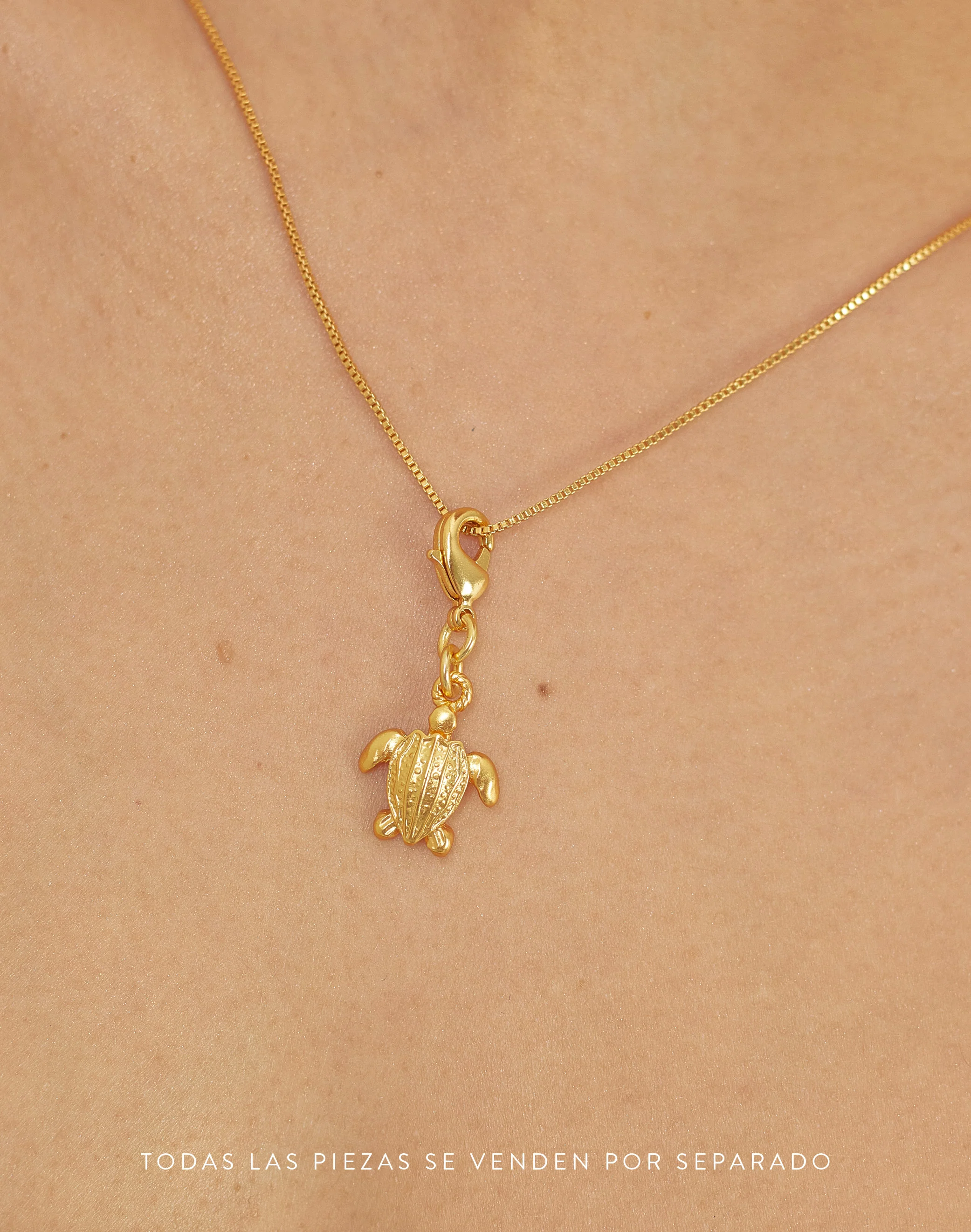 Mini Charm Tortuga - Image 3