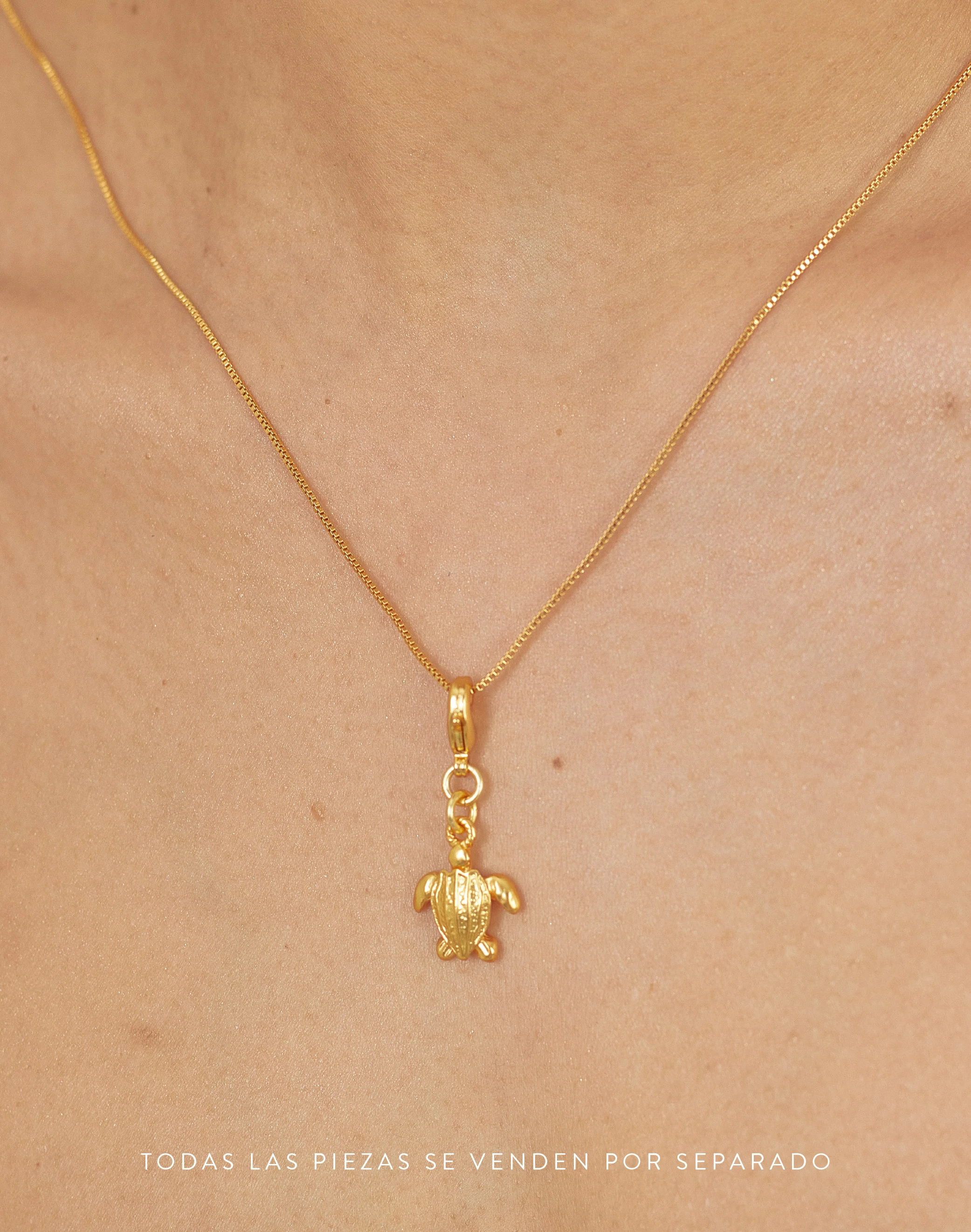 Mini Charm Tortuga - Image 4
