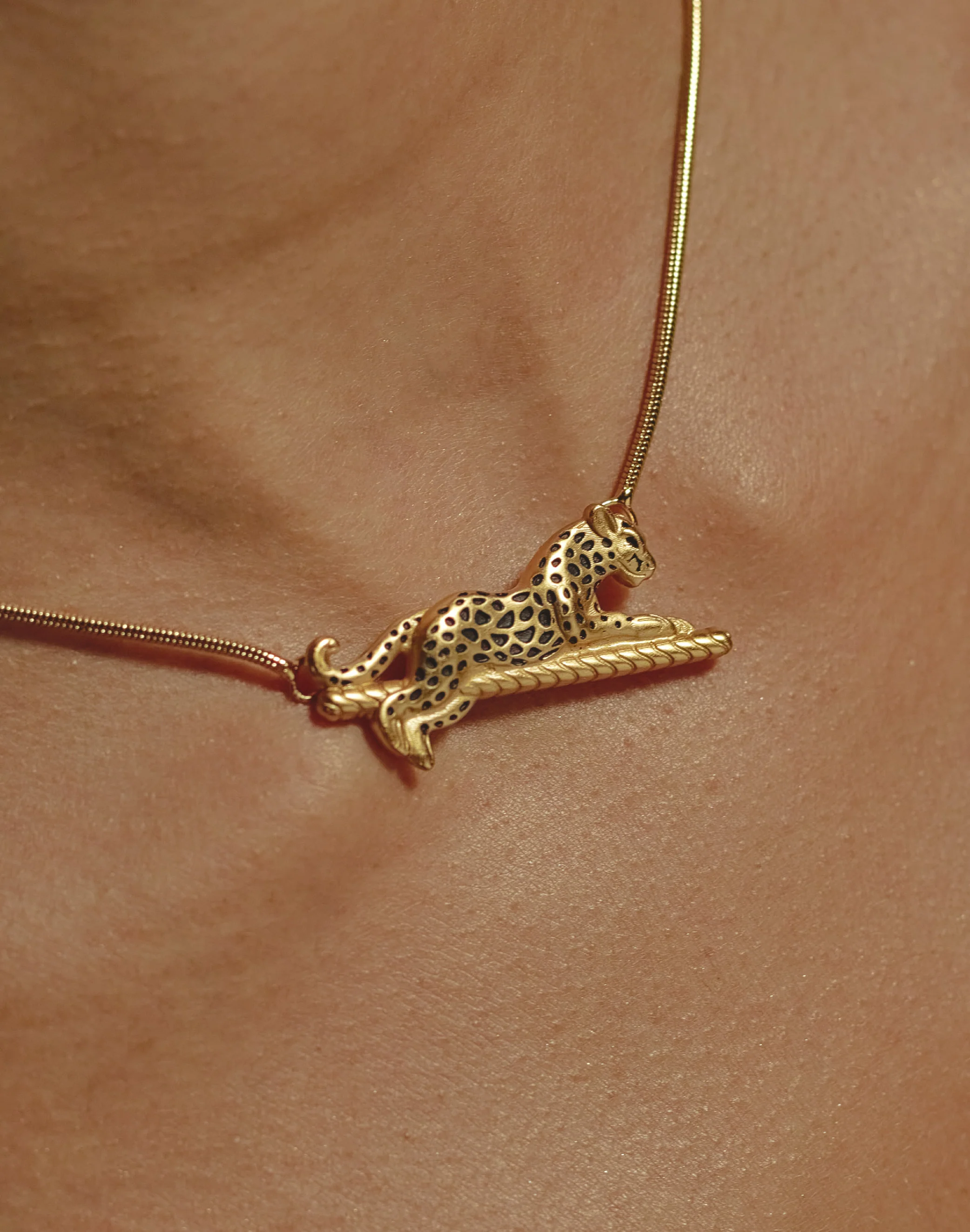 Set de Collar + Topos Jaguar - Image 5